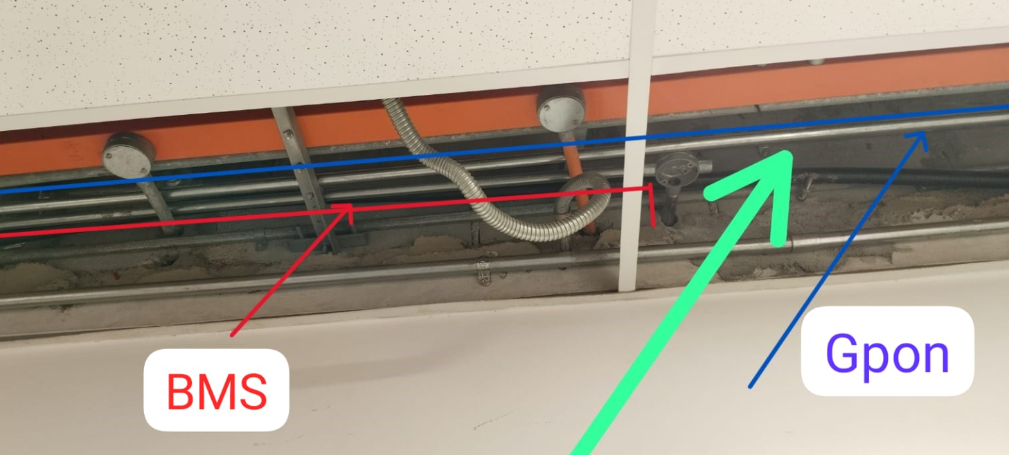 Work Photo 1